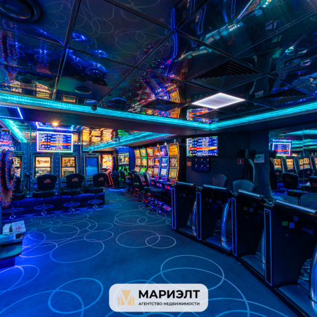 Фотография Готовый бизнес 356м2(продажа) пр-т Пушкина 41к1 - фото 1