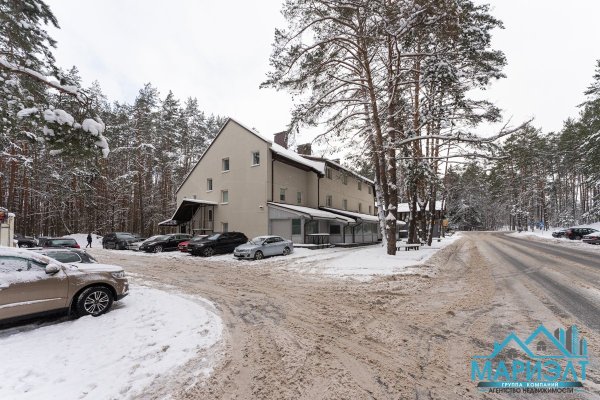 Помещение 961,7м2 (продажа) аг Ждановичи ул Парковая 9 - фото 1