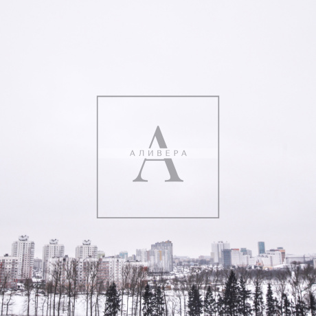 Фотография 1-комнатная квартира по адресу Корженевского, 9к 1 - фото 13