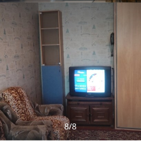 Фотография 1-комнатная квартира по адресу БЕЛИНСКОГО В.Г., 4 - фото 2