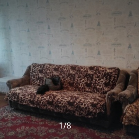 Фотография 1-комнатная квартира по адресу БЕЛИНСКОГО В.Г., 4 - фото 3