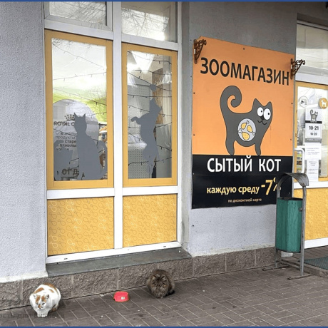 Фотография Продается торговое помещение по адресу Минск, Бумажкова ул., 37 а - фото 3