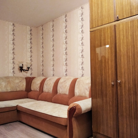 Фотография 1-комнатная квартира по адресу Проспект Пушкина, 5 - фото 3