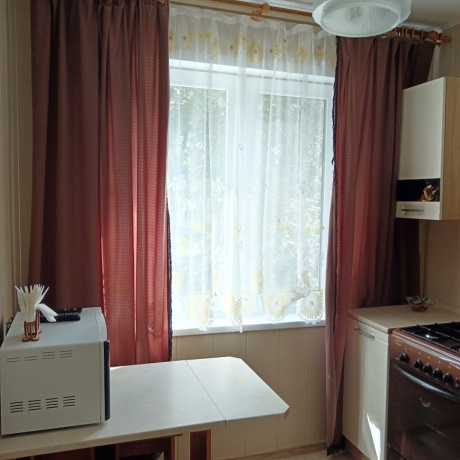 Фотография 1-комнатная квартира по адресу Проспект Пушкина, 5 - фото 10