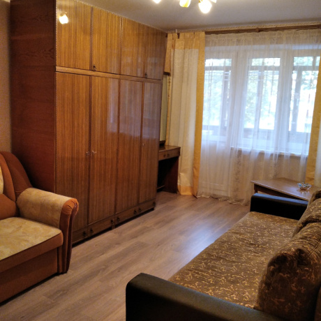 Фотография 1-комнатная квартира по адресу Проспект Пушкина, 5 - фото 1