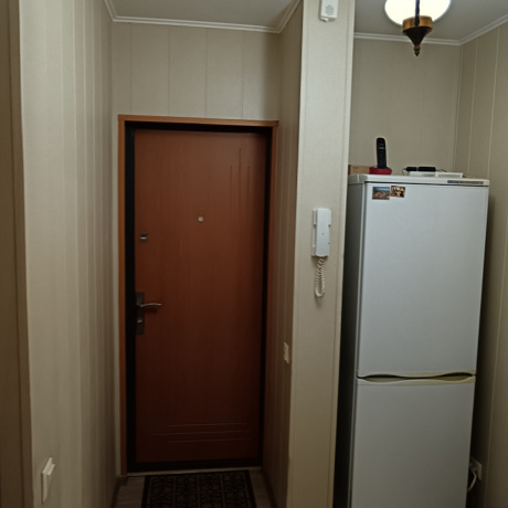 Фотография 1-комнатная квартира по адресу Проспект Пушкина, 5 - фото 8