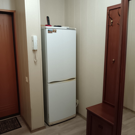 Фотография 1-комнатная квартира по адресу Проспект Пушкина, 5 - фото 9