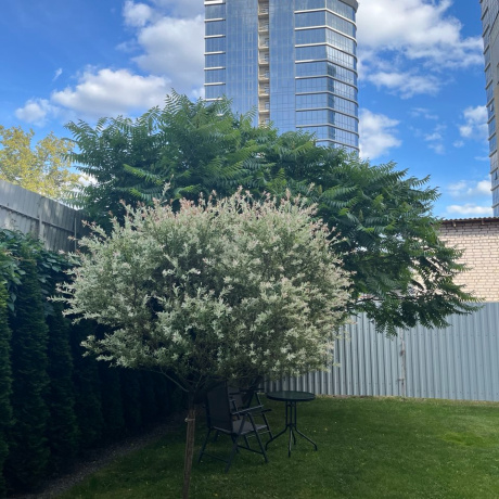 Фотография Аренда офиса в центре г. Минска (ул. К.Цеткин, 18/4), Минск, - фото 6