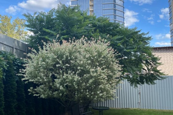 Аренда офиса в центре г. Минска (ул. К.Цеткин, 18/4), Минск, - фото 6