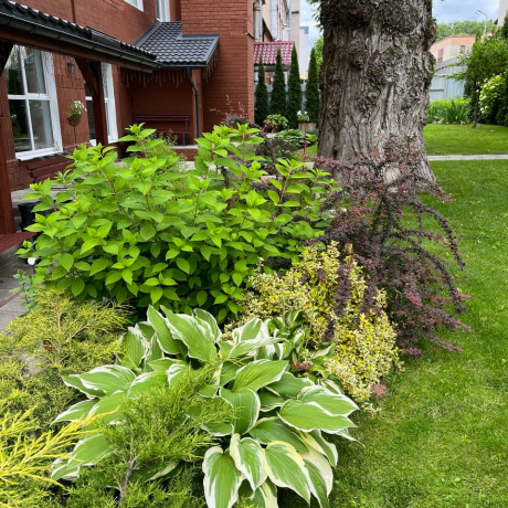 Фотография Аренда офиса в центре г. Минска (ул. К.Цеткин, 18/4), Минск, - фото 10