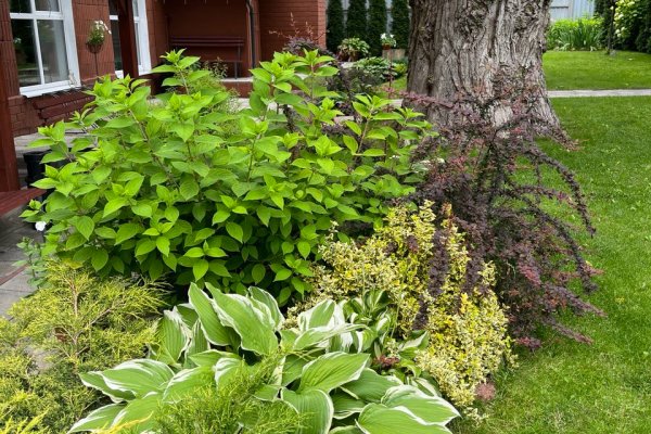 Аренда офиса в центре г. Минска (ул. К.Цеткин, 18/4), Минск, - фото 10