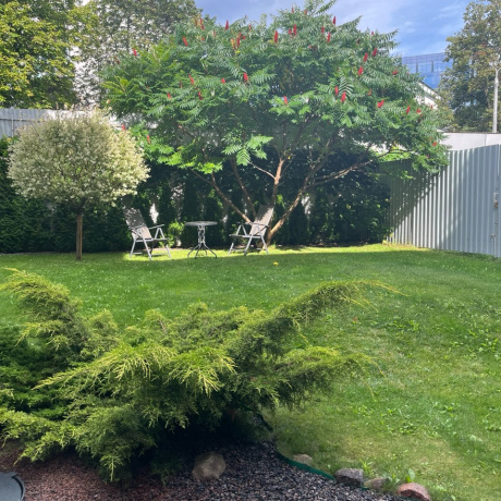 Фотография Аренда офиса в центре г. Минска (ул. К.Цеткин, 18/4), Минск, - фото 8