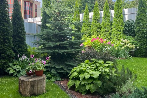 Аренда офиса в центре г. Минска (ул. К.Цеткин, 18/4), Минск, - фото 5