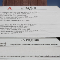 Фотография Продается дача с/т. Ромашка Соломореченская - фото 17