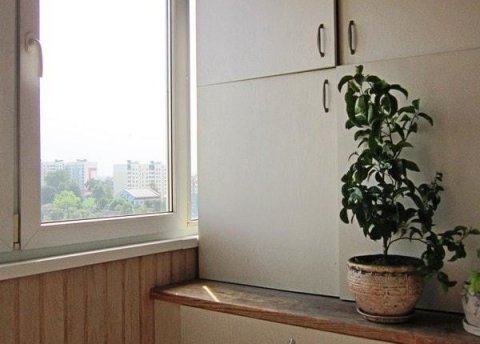 4-комнатная квартира по адресу ул. Жуковского, 29 - фото 7