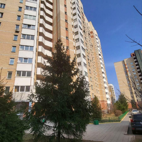 Фотография 1-комнатная квартира по адресу Громова ул., д. 26 - фото 1