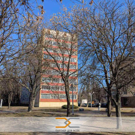 Фотография 1-комнатная квартира по адресу Пушкина просп., д. 36 - фото 1