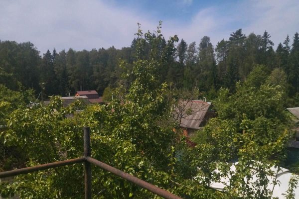 Продается дача с/т. Зеленое - фото 6