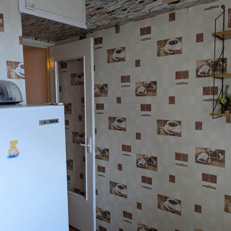 Фотография 1-комнатная квартира по адресу Пушкина просп., д. 36 - фото 8