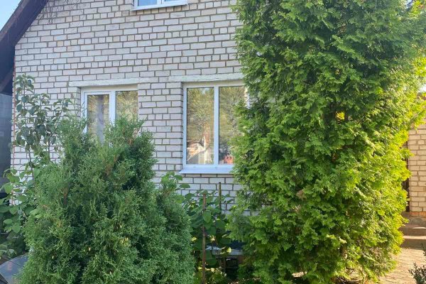 Продается дача с/т. Бытовик-1 - фото 8