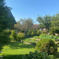 Фотография Продается дача с/т. Бытовик-1 - фото 16