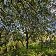 Фотография Продается дом аг. Новый Двор, Речная ул. - фото 5