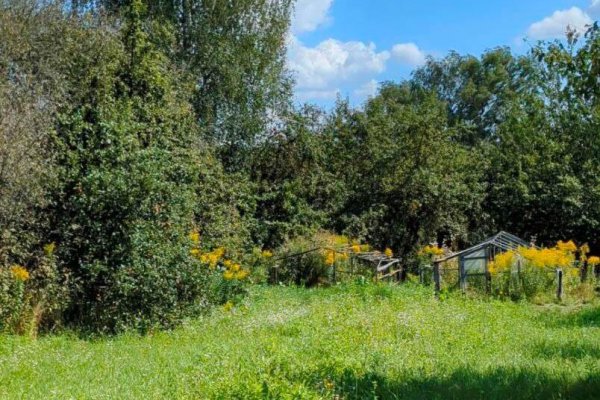 Продается дом аг. Новый Двор, Речная ул. - фото 7