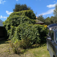 Фотография Продается дом аг. Новый Двор, Речная ул. - фото 4