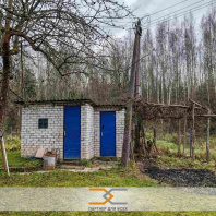 Фотография Продается дом с/т. Ромашка Соломореченская - фото 5