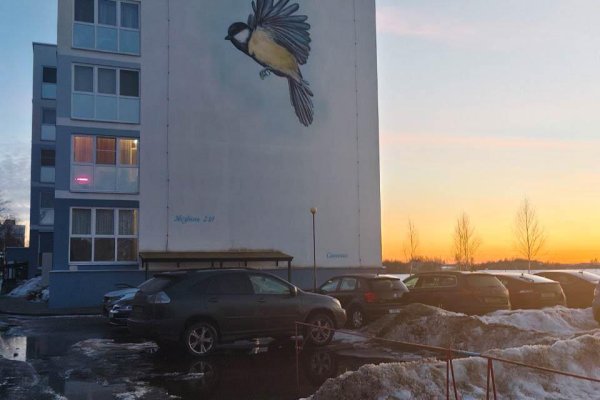 1-комнатная квартира по адресу Звездная ул., д. 21 к. 1 - фото 12