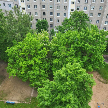 Фотография 2-комнатная квартира по адресу Одинцова ул., д. 71 к. 2 - фото 20