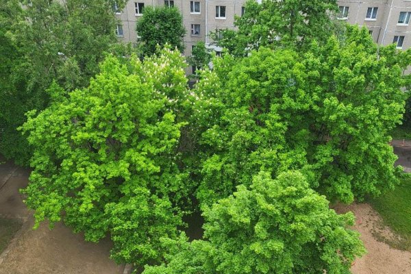 2-комнатная квартира по адресу Одинцова ул., д. 71 к. 2 - фото 20