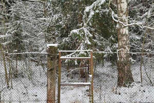 Продается дом с/т. Звездное - фото 18