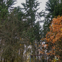 Фотография Продается коттедж д. Тарасово - фото 5