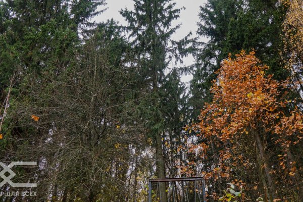 Продается коттедж д. Тарасово - фото 5