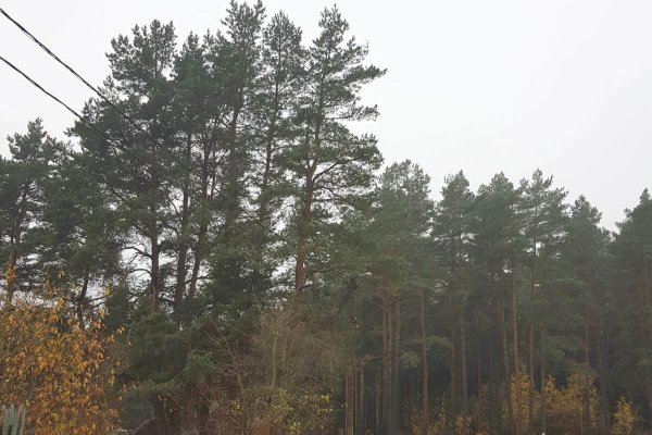 Продается коттедж г. Минск, Горбатова ул. - фото 8