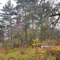 Фотография Продается коттедж г. Минск, Горбатова ул. - фото 5