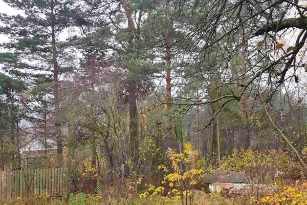 Продается коттедж г. Минск, Горбатова ул. - фото 5