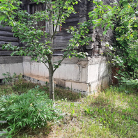 Фотография Продается дача с/т. Исток-М - фото 1