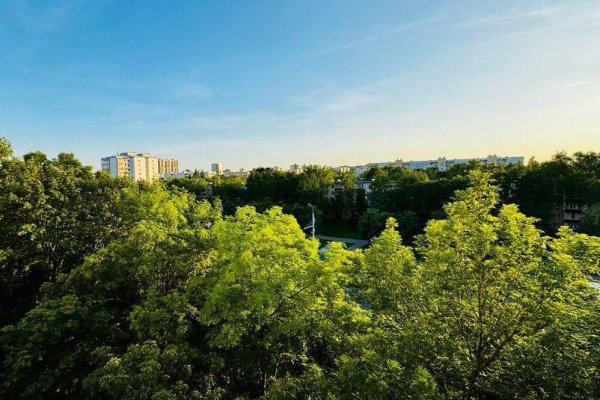 2-комнатная квартира по адресу Пушкина просп., д. 44 - фото 1