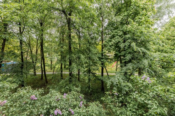 2-комнатная квартира по адресу Славинского ул., д. 19 - фото 14