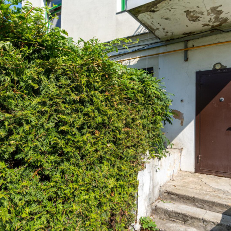Фотография 3-комнатная квартира по адресу Мясникова ул., д. 11 к. В - фото 16