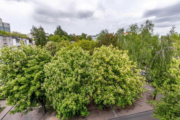 3-комнатная квартира по адресу Рокоссовского просп., д. 129 - фото 14