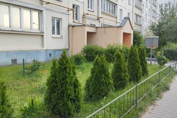 2-комнатная квартира по адресу Казимировская ул., д. 31 - фото 2
