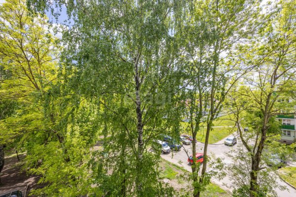 2-комнатная квартира по адресу Менделеева ул., д. 19 - фото 6