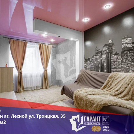 Фотография 1-комнатная квартира по адресу Троицкая ул., д. 35 - фото 1