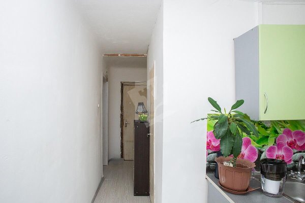 1-комнатная квартира по адресу Жудро ул., д. 47 - фото 1