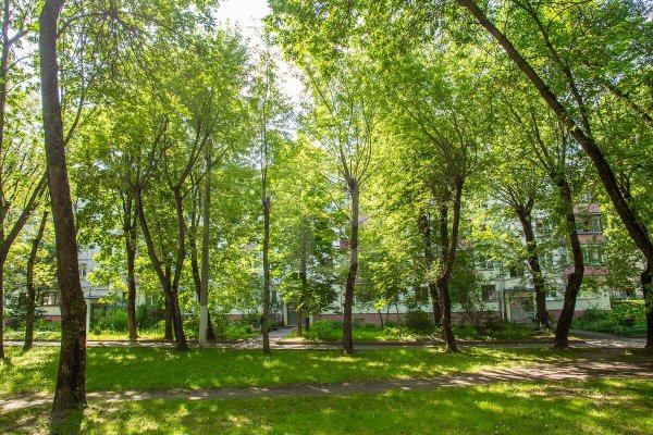 2-комнатная квартира по адресу Ольшевского ул., д. 33 к. 2 - фото 17