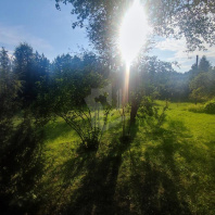 Фотография Продается полдома д. Зеленая, Привокзальная ул. - фото 7