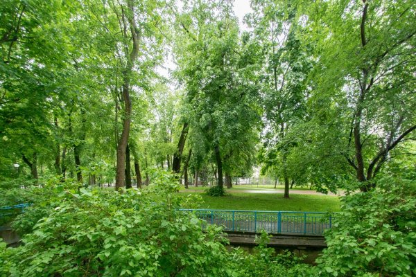 2-комнатная квартира по адресу Восточная ул., д. 38 - фото 3